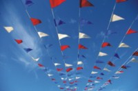 signal flags